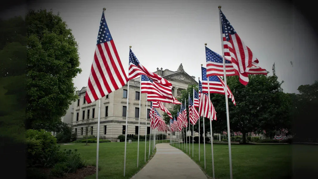 Community American flag ceremony featuring rows of U.S. flags lining a walkway toward a historic government building.