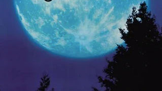 This Week In American History: June 9th - 15th