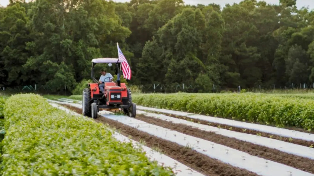 Heavy-duty flag mounted on a tractor’s rear pole flutters over green crop rows under warm afternoon light.