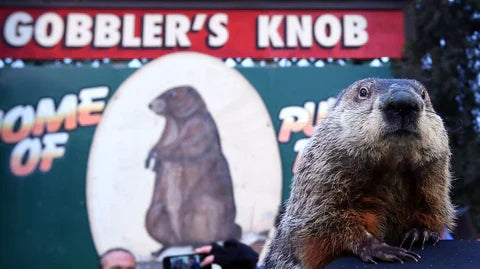 This Week In American History: February 1st - 7th