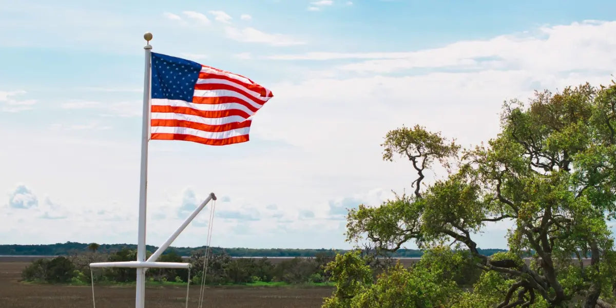 American flag product shown on a tall flagpole overlooking a scenic landscape with trees and open fields.