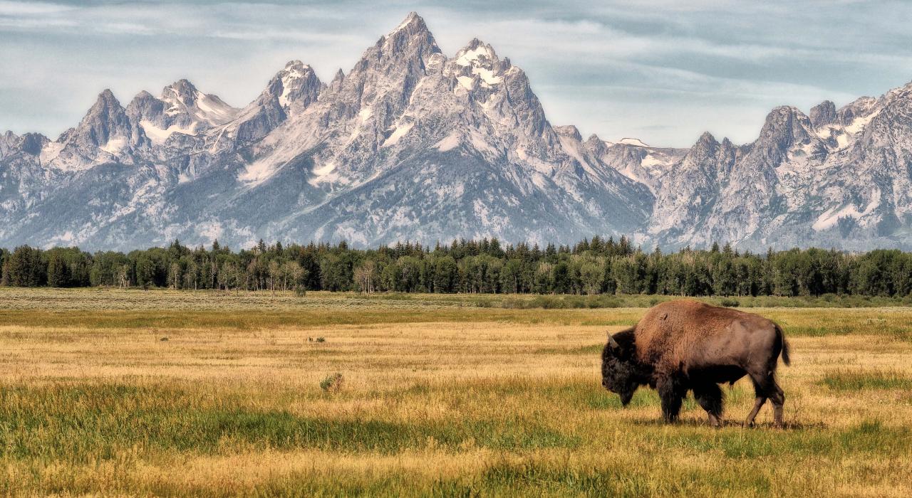 This Week In American History: February 26th - March 4th