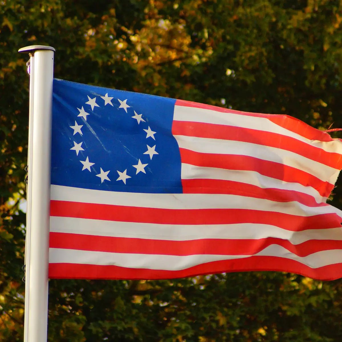 First American Flag first-american-flag