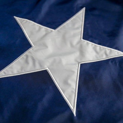 Detail of Texas Flag