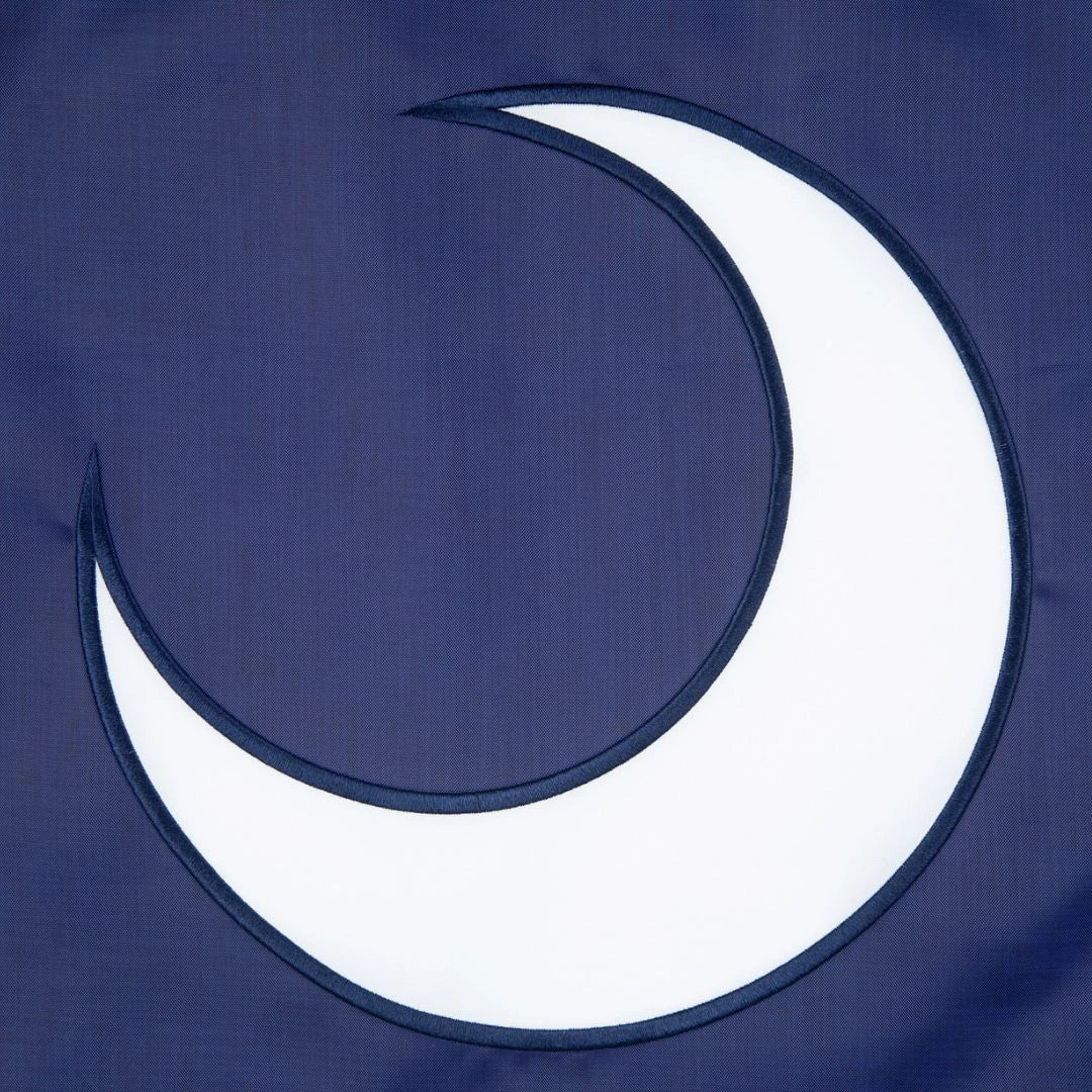 south carolina state flag set